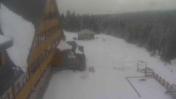 Parkoviště a hlavní vchod