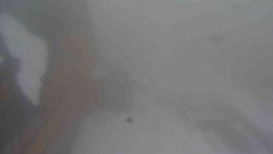 Parkoviště a hlavní vchod