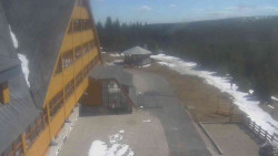 Parkoviště a hlavní vchod