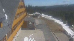 Parkoviště a hlavní vchod