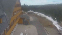 Parkoviště a hlavní vchod