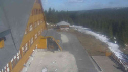 Parkoviště a hlavní vchod