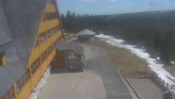 Parkoviště a hlavní vchod