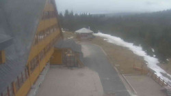 Parkoviště a hlavní vchod