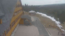 Parkoviště a hlavní vchod