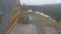 Parkoviště a hlavní vchod