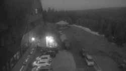 Parkoviště a hlavní vchod