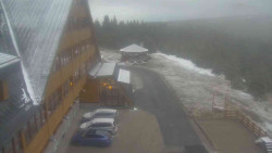 Parkoviště a hlavní vchod