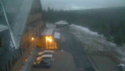 Parkoviště a hlavní vchod