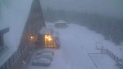 Parkoviště a hlavní vchod