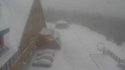 Parkoviště a hlavní vchod