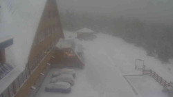 Parkoviště a hlavní vchod