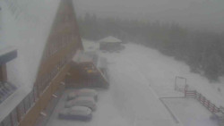 Parkoviště a hlavní vchod