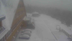 Parkoviště a hlavní vchod