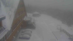 Parkoviště a hlavní vchod