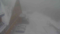 Parkoviště a hlavní vchod