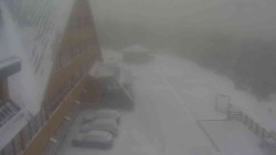 Parkoviště a hlavní vchod