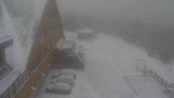 Parkoviště a hlavní vchod