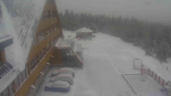 Parkoviště a hlavní vchod