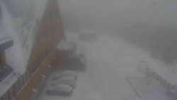 Parkoviště a hlavní vchod