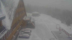 Parkoviště a hlavní vchod