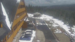 Parkoviště a hlavní vchod