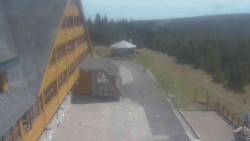 Parkoviště a hlavní vchod