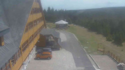Parkoviště a hlavní vchod