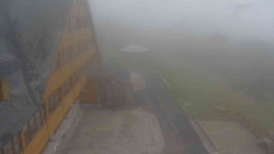 Parkoviště a hlavní vchod