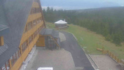 Parkoviště a hlavní vchod