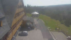 Parkoviště a hlavní vchod