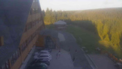 Parkoviště a hlavní vchod