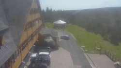 Parkoviště a hlavní vchod