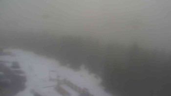 Snímek    29.10.2025 v 07:00