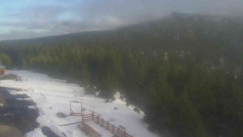 Snímek    29.10.2025 v 15:00