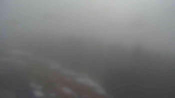 Snímek    1.11.2025 v 09:20