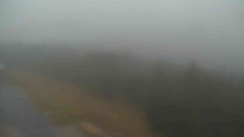 Snímek    3.11.2025 v 07:15