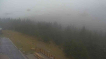 Snímek    3.11.2025 v 12:20