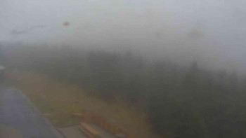 Snímek    3.11.2025 v 13:25