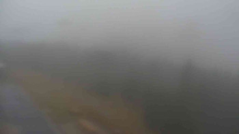 Snímek    3.11.2025 v 14:15