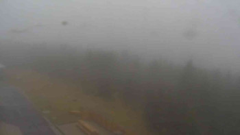 Snímek    3.11.2025 v 15:50