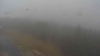 Snímek    3.11.2025 v 16:00