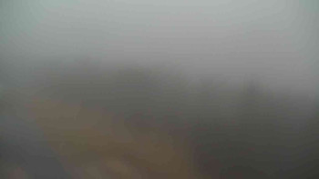 Snímek    3.11.2025 v 16:20