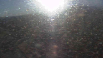 Snímek    4.11.2025 v 08:00