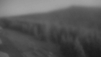 Snímek    4.11.2025 v 16:55