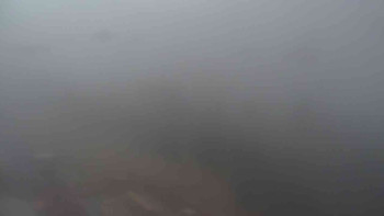 Snímek 7.11.2025 v 08:35