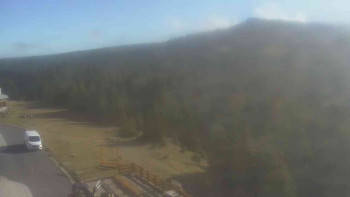 Snímek 7.11.2025 v 11:50