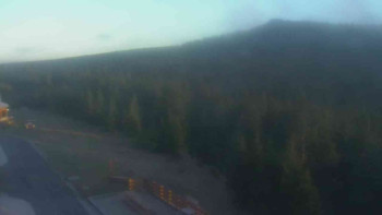 Snímek 7.11.2025 v 15:55