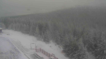 Snímek 21.11.2025 v 08:00