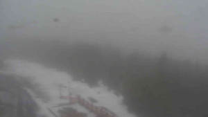 Sporthotel Kurzovní - Petrovy kameny - 7.12.2025 v 11:55 Sporthotel Kurzovní - Petrovy kameny - 7.12.2025 v 11:55